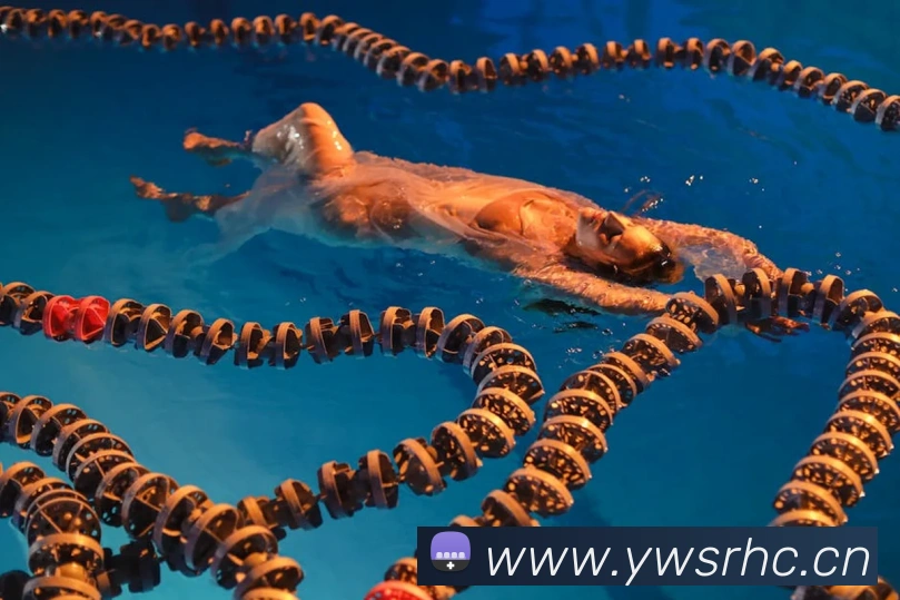 果动体育官网平台生态图